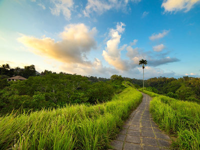 Campuhan Ridge Walk